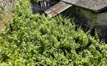Apptartement en annexe - image - 2