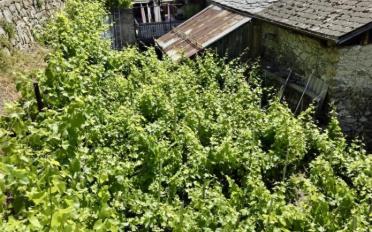Maison - image - 4