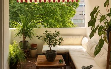 Appartement - image - 6