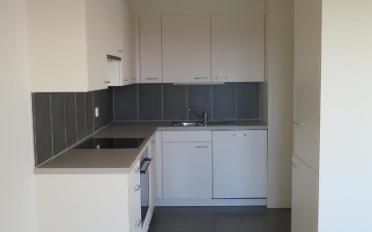 Appartement 4.5 pièces - image - 5