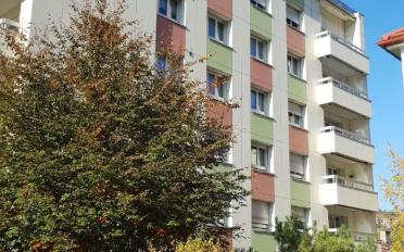 Wohnung ein Zimmer - image - 4