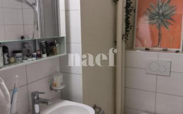 Apartment 1 room - image - 7