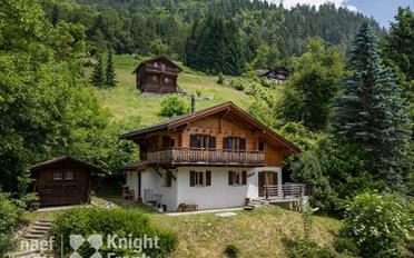 Chalet 4 Zimmer - image - 1