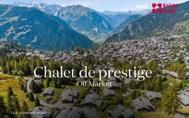 Chalet 8.5 pièces - image - 1