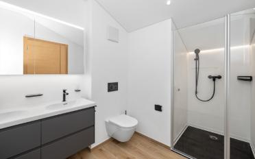 Chalet 15.5 pièces - image - 10