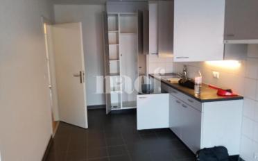 Wohnung 5 Zimmer - image - 4