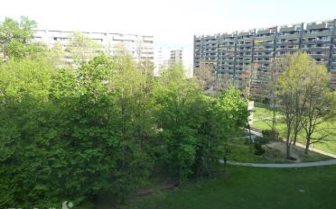 Wohnung 2.5 Zimmer - image - 1