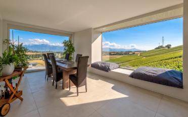 Villa 10 Zimmer - image - 3