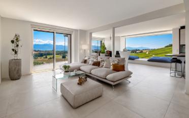 Villa 10 Zimmer - image - 4