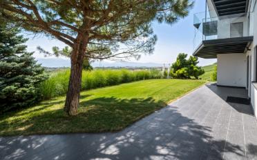 Villa 10 Zimmer - image - 11