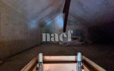Wohnung 2.5 Zimmer - image - 8