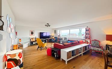 Wohnung 6.5 Zimmer - image - 5