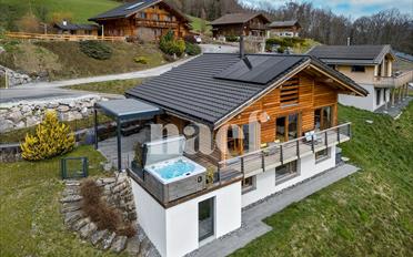 Villa 5.5 pièces - image - 3