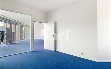 Office 4 rooms - image - 4