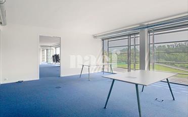 Office 4 rooms - image - 6