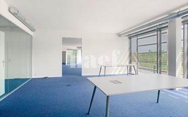 Office 4 rooms - image - 7