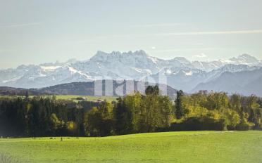 Wohnung 4.5 Zimmer - image - 3