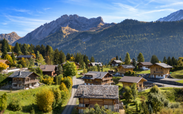 Chalet 8.5 Zimmer - image - 3