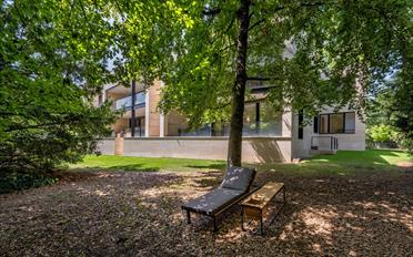 Duplex 9 Zimmer - image - 10