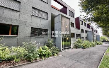 Duplex 6 Zimmer - image - 1