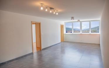 Wohnung 2.5 Zimmer - image - 1