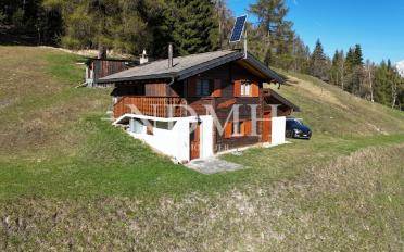 Chalet 4 rooms - image - 1