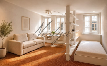 Appartement meublé 1 pièce - image - 3