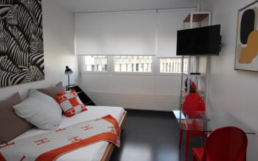 Furnished flat 1 room - image - 2