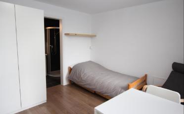 Möbl. Wohnobj. 1.5 Zimmer - image - 3