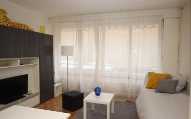 Furnished flat 1 room - image - 1