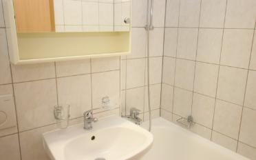Appartement meublé 1.5 pièces - image - 4