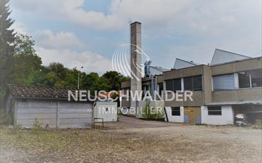 Gemischt genutzte Immobilie - image - 2