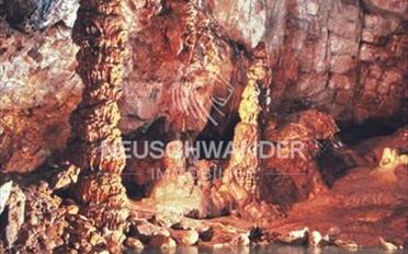 Einfamilienhaus - image - 7
