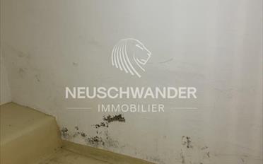 Cellar compartment 1 room - image - 3