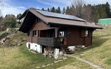 Chalet 3.5 Zimmer - image - 1
