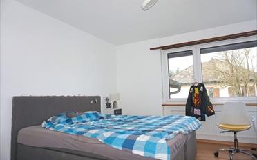 Einfamilienhaus 8.5 Zimmer - image - 5