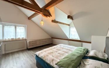 Maison jumelée 15.5 pièces - image - 13