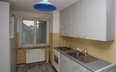 Einfamilienhaus 8 Zimmer - image - 6