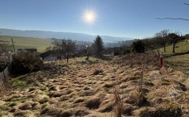 Bauland - image - 4