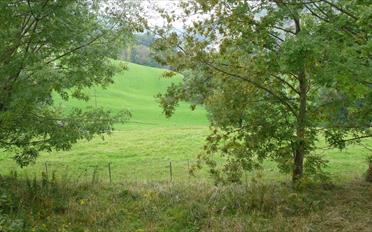 Single house - image - 9