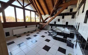 Einfamilienhaus 9.5 Zimmer - image - 3