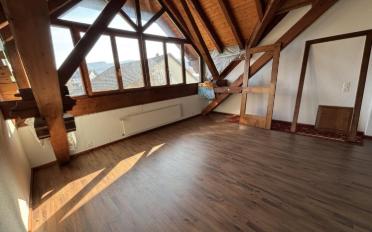 Einfamilienhaus 9.5 Zimmer - image - 4