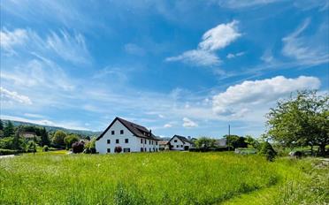 Immeuble mixte - image - 10