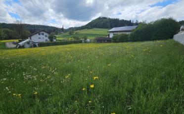 Bauland - image - 4