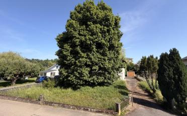 Single house - image - 4
