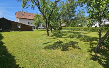 Immeuble mixte - image - 5