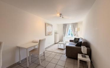Appartement meublé 1.5 pièces - image - 1