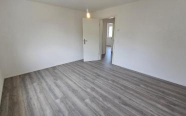 Doppeleinfamilienhaus 5.5 Zimmer - image - 11