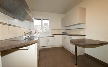 Single house 12.5 rooms - image - 6
