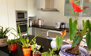 Wohnung 5 Zimmer - image - 8
